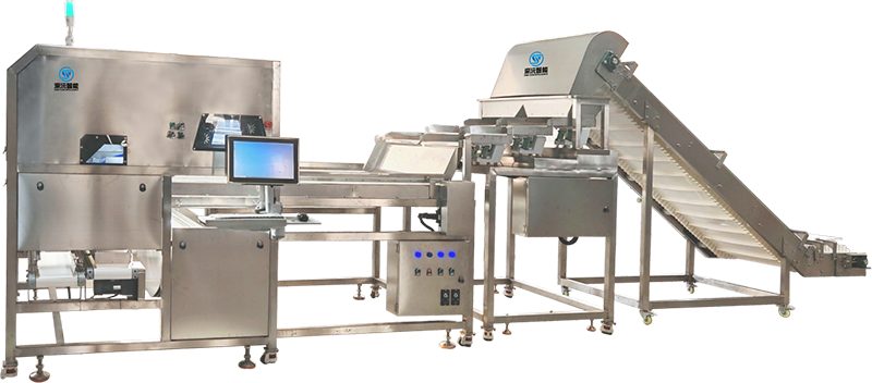 ZFX型 AI视觉分选机